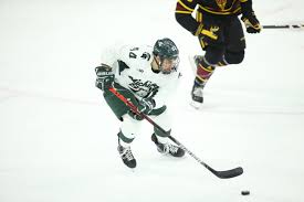 Live scores de hockey pour la nhl, le championnat français. Msu Hockey Scores Three Goals In Third Period To Rally Past Minnesota