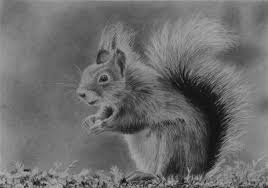 Sketch what you want to draw. How To Draw A Squirrel