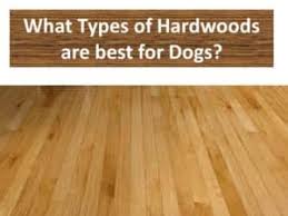 best hardwood flooring for dogs
