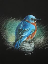 Pin On Aurora Spitfire