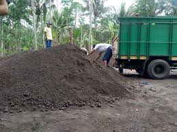Bibi menyuruhku membuka baju dan telentang, lalu mulai mengerokiku, walau lagi sakit, tapi aku merasakan tangannya halus di punggungku, apalagi dekat denganku. Harga Pasir Merapi Di Karanganyar Masih Stabil Dlidir Konstruksi