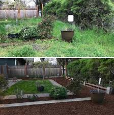 In this case, clean up dog waste from your backyard another day. Yard Cleanups In Happy Valley Troutdale Gresham Or J C Lawn Care