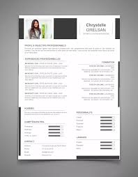 Free Cv Cv 62 Maxi Cv Modele Cv Exemple Cv Entretien Embauche
