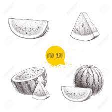 ensemble de pasteques style croquis dessines a la main et tranches melon d eau clip art libres droits vecteurs illustration image 82519460 coloriage voiture images zip