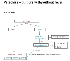 Petechiae and purpura are similar, but purpura is the term used to describe any purple skin blotch caused by bleeding beneath the skin. Petechiae And Purpura With Without Fever