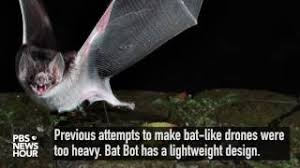 Submissions can be anything from the world of competitive robotics. A Bat Bot Takes Flight Pbs Newshour