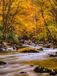 We hope you enjoy our growing collection of hd images to use as a background or home screen for your smartphone or computer. Beautiful Wallpapers Of Nature For Mobile Wallpaper Cave