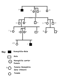 Pedigree Chart