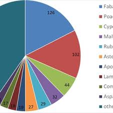 Image result for Ottelia lisowskii