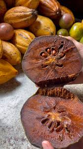 Image result for Aframomum mala