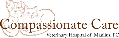 Our services and facilities are designed to assist in routine preventive care for young, healthy pets; Veterinarian In Manlius Compassionate Care Veterinary Hospital