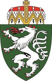 Das wappen zeigt den silbernen, rotgehörnten und rotbewehrten, ammenspeienden panther auf grün, den steirischen panther. Aufkleber Sticker Herzogtum Steiermark Osterreich Graz Herzog Wappen 6x7cm A3215 Eur 4 90 Picclick De