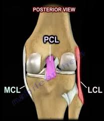 Image result for PCL Sulcus Test