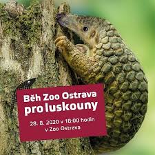 Vítejte na oficiálním profilu #zooostrava! Pobez S Nami A Zoo Ostrava Pro Luskouny Slezska Univerzita V Opave