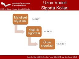 sosyal guvenlik hukuku maluliyet sigortasi uzun vadeli sigorta kollari ppt indir