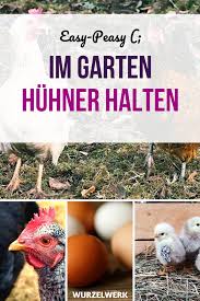 Es Lebe Das Haushuhn Huhner Halten Im Garten Wurzelwerk Huhner Im Garten Huhnergarten Haushuhn