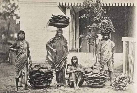 Old picture of Madras women carrying cow dung.