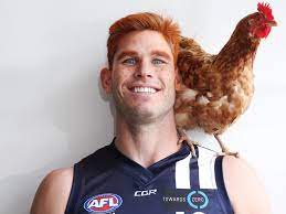 Cinematographer | camera and electrical department. Geelong Wacky Wednesday Photos 2019 Cats Mad Monday Pictures Player Ratings