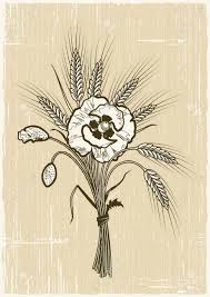 Dessin à main levée vintage de fleurs sauvages sur le terrain. Bouquet De Ble Et De Coquelicots Retro Clip Art Libres De Droits Vecteurs Et Illustration Image 10380583