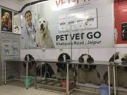 Pet vet animal hospital near me. Top 30 Veterinary Hospitals In Jaipur Best Animal Hospitals Justdial