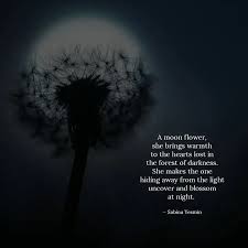 The night flowers see but one moon. Best Moonflower Quotes Status Shayari Poetry Thoughts Yourquote