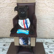 Check Out Our New Adjustable Bailey Bailey Chairs 4 Dogs