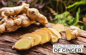 Characteristic rhizomes used as a spice and because of their medicinal properties. 15 Health Benefits Of Ginger Skin Hair And Recipes