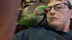 Pickel time, all the time!#fblifestyle OH, FORGOT to ASK ψου Нοω YOU WANT  YOUR HAIR COT, WELL, THERE ARE A LOT OF DIFFERENT CHOICES, SHORT, MEDIUM  LONG AND 50 FORTH. WHAT ARE