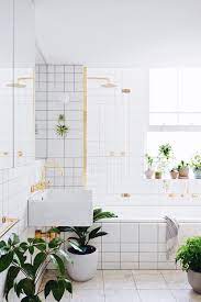 Chinese evergreen atau aglonema merupakan tanaman hias indoor yang tidak memerlukan sinar matahari berlebih sehingga cocok untuk tanaman kamar mandi. Pilihan Tanaman Untuk Kamar Mandi Living Loving For All Things Lovely