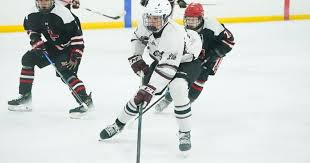 Photos: Orchard Park boys hockey beats Lancaster, 8-1