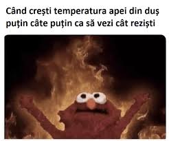 Calul ăsta are părul mai frumos decât al meu! Meme Rage Comics Romania Page 43 Meme Uri Romanesti Really Funny Memes Silly Memes Funny Relatable Memes