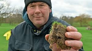 Rasenpflege trotz Maulwurf und Wühlmaus: Greenkeeper hat Tipps für den  Garten