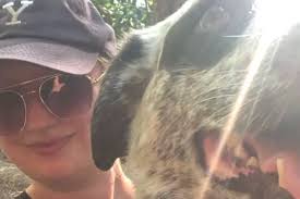 Fundraiser for Lydia Whitlock by Abbe Magid : Help Lydia & Shiner After  Home Lost