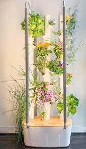Gardyn Home Kit Indoor Vegetable Gardening Hydroponics Garden Kits