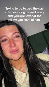 Feel like im being pranked rn i am not okay 10/10 dont recommend #petloss  #grief