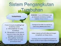 Proses pengangkutan zat pada tumbuhan. Bab 2 Peredaran Darah Dan Pengangkutan 2 1