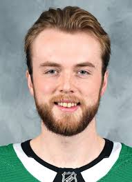 Adam Scheel Hockey Stats and Profile at hockeydb.com