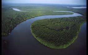 Sungai kinabatangan) is a river in sandakan division, northeastern sabah of malaysia. Carmen Kay A On Twitter Sungai Kinabatangan The Second Longest River In Malaysia W A Length Of 560 Km From Its Headwaters In The Mountains Of Southwest Sabah To Its Outlet At