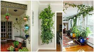 Cacti and succulents are low maintenance, for instance, whereas there are indoor plants that require much more attention and care, so do pay attention to those details when planning your interior design plants inside house ideas! House Plant Design Ideas