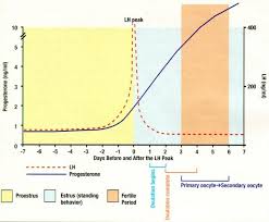 Canine Reproduction Upland Ways