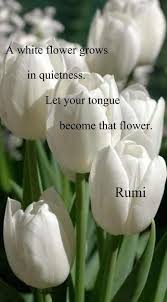 Pin On Top Rumi Quotes