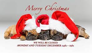 A wide variety of merry christmas dog options are available to you, such as material, apparel & accessory type, and style. Merry Christmas Tlc Pet Hospital
