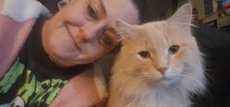 Lost dog in Eastpointe Michigan area