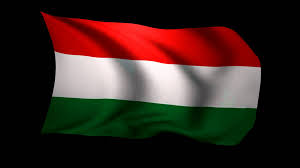 Use them as wallpapers for your mobile or desktop screens. Hungarian Flag Wallpapers Wallpaper Cave