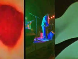 Bob Dellaposta & Psychedelic String Band