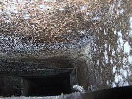 It comes out of two vents in the ceiling. Effects Of Mold On Your Air Conditioner Easy Ac