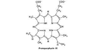 Image result for Heme