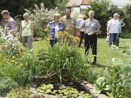 Das senfkraut kann bis zu drei meter hoch wachsen. Im Bibelgarten Vom Senfkraut Zum Dornenbusch Gefuhrt Berching Nordbayern
