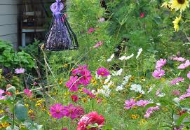 What is a pollinator garden. Take The Pollinator Garden Challenge Greenability Magazine