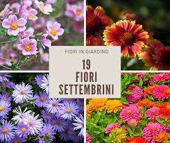 La fioritura è primaverile, da marzo a giugno; Fiori Di Settembre 19 Specie Per Un Autunno Colorato Fiori Da Giardino